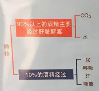 酒后駕駛危害多，你都知道哪些？