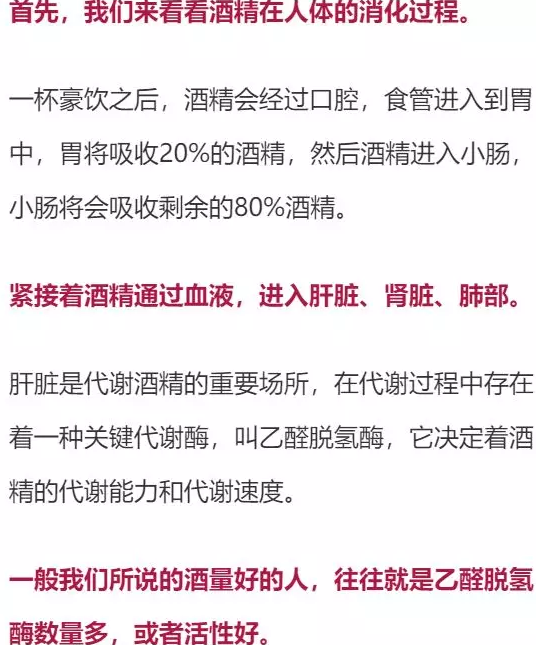 喝多少酒開(kāi)車算酒駕？喝完酒多久能開(kāi)車？這組數(shù)據(jù)，都說(shuō)明白了